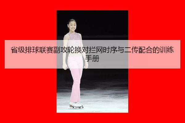 sheng-ji-pai-qiu-lian-sai-fu-gong-lun-huan-dui-lan-wang-shi-xu-yu-er-chuan-pei-he-de-xun-lian-shou-ce-2-576.jpg