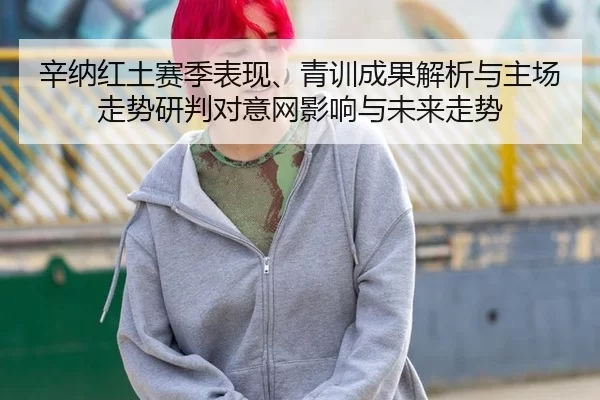 辛纳红土赛季表现、青训成果解析与主场走势研判对意网影响与未来走势